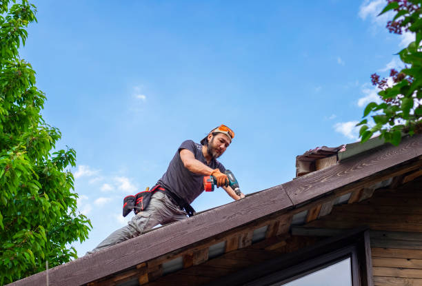 Best Green or Eco-Friendly Roofing Solutions  in Wilmington Island, GA