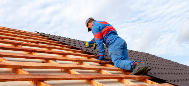 Best Roof Ventilation Installation  in Wilmington Island, GA