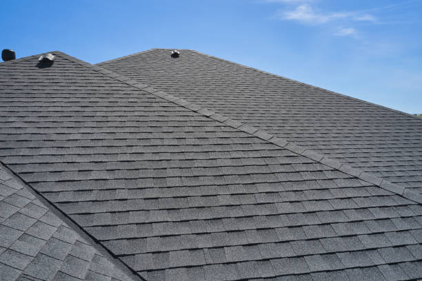 Best Skylight Installation and Repair  in Wilmington Island, GA